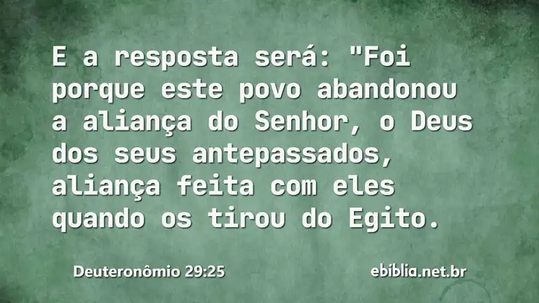 Deuteronômio 29:25