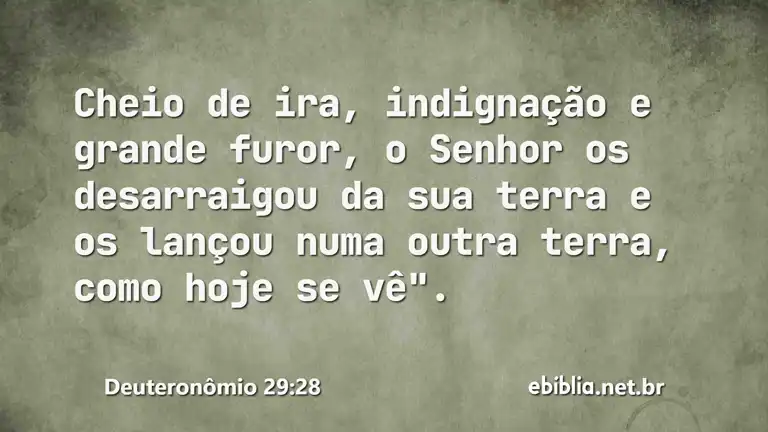 Deuteronômio 29:28