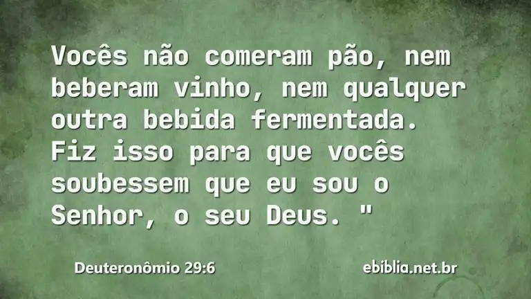 Deuteronômio 29:6