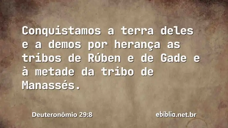 Deuteronômio 29:8