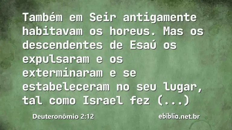 Deuteronômio 2:12