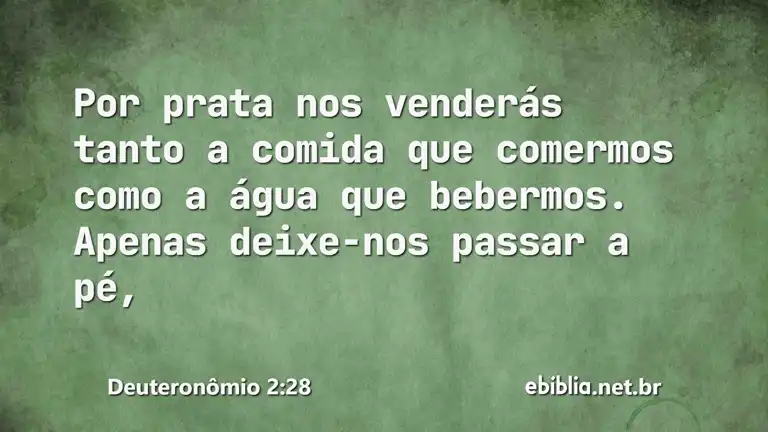 Deuteronômio 2:28