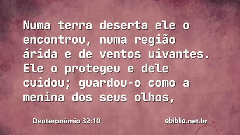 Deuteronômio 32:10