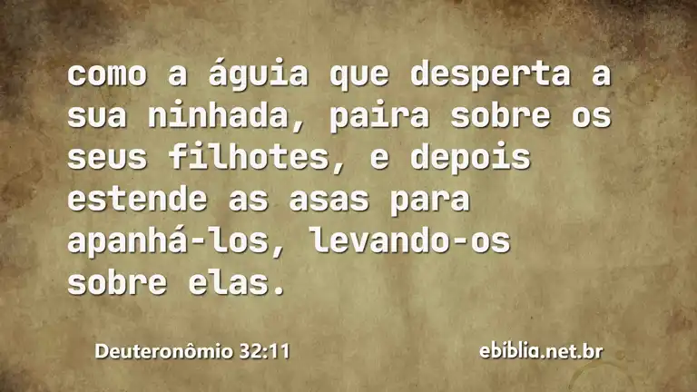 Deuteronômio 32:11