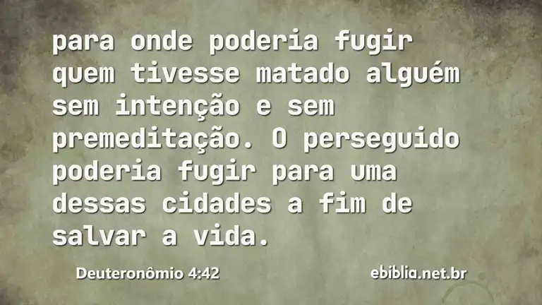 Deuteronômio 4:42