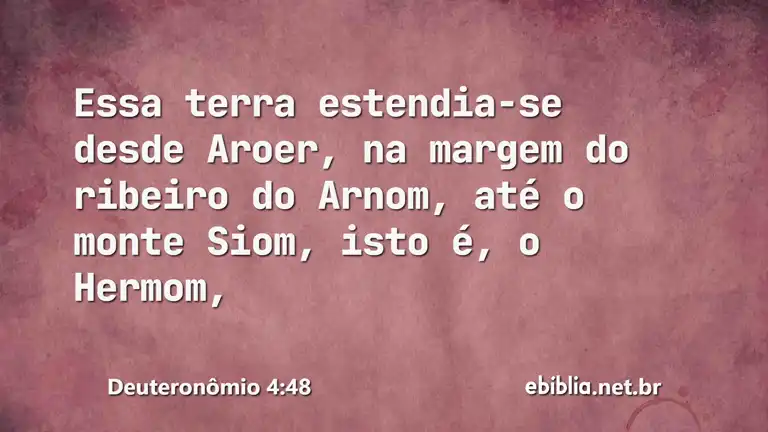 Deuteronômio 4:48