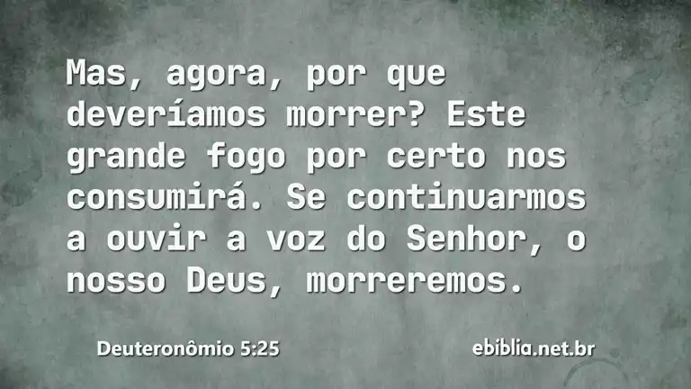 Deuteronômio 5:25