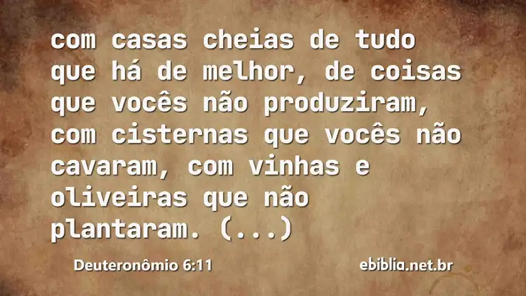 Deuteronômio 6:11