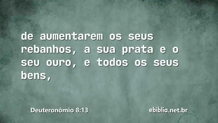 Deuteronômio 8:13