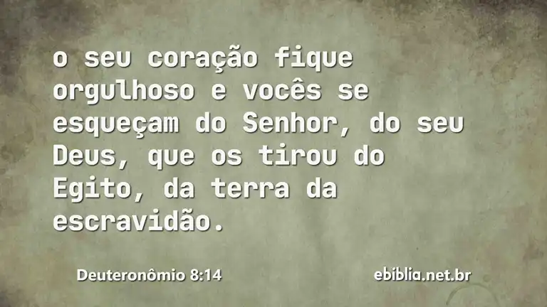 Deuteronômio 8:14