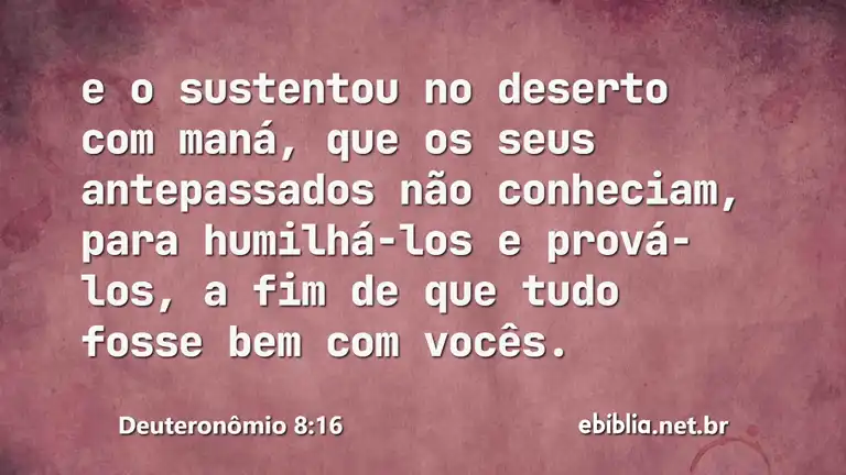 Deuteronômio 8:16