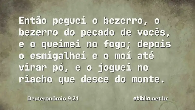 Deuteronômio 9:21