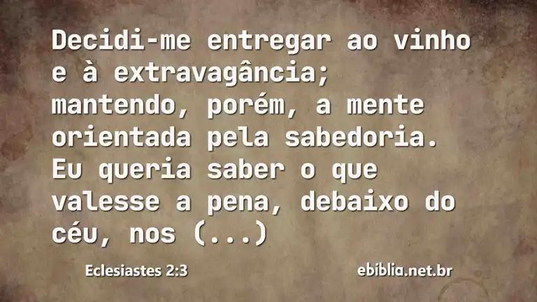 Eclesiastes 2:3