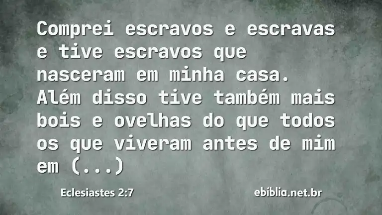 Eclesiastes 2:7