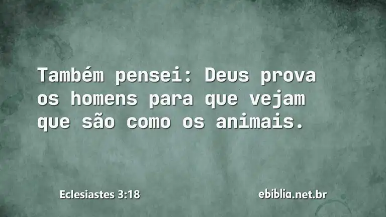 Eclesiastes 3:18