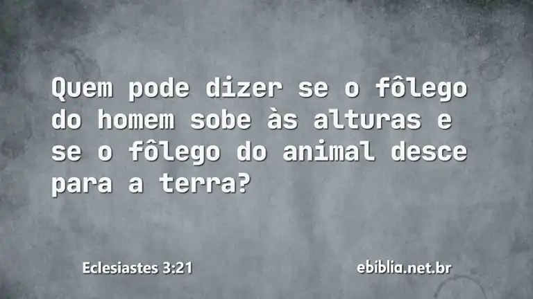 Eclesiastes 3:21