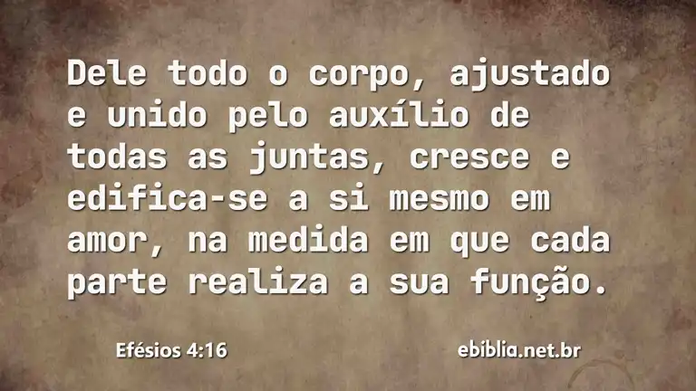 Efésios 4:16