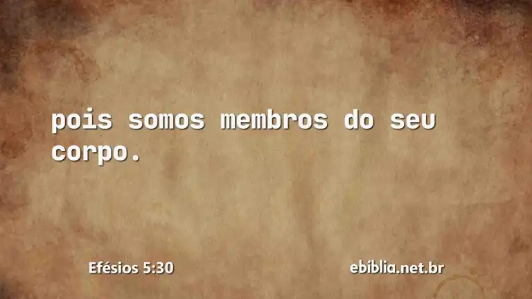 Efésios 5:30