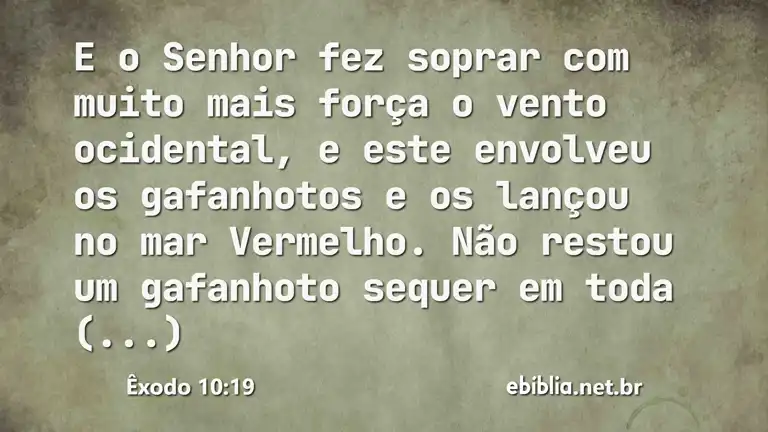 Êxodo 10:19