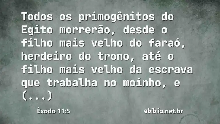 Êxodo 11:5