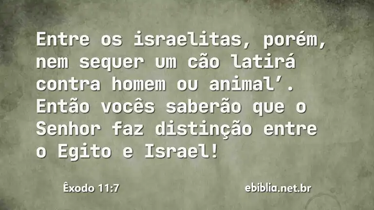 Êxodo 11:7