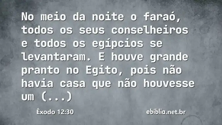 Êxodo 12:30