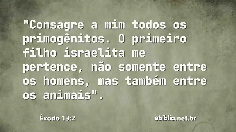 Êxodo 13:2