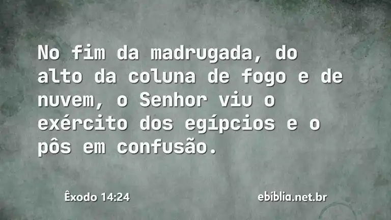 Êxodo 14:24