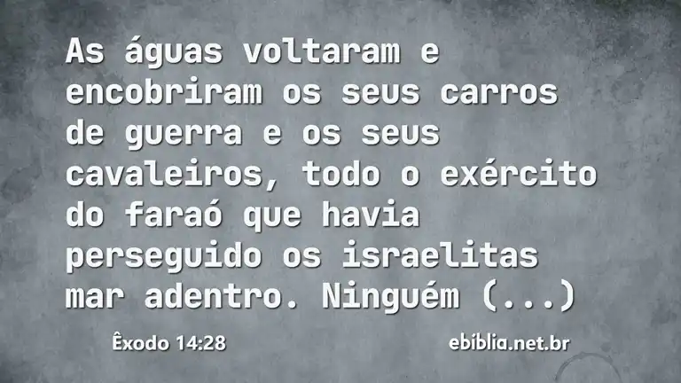 Êxodo 14:28