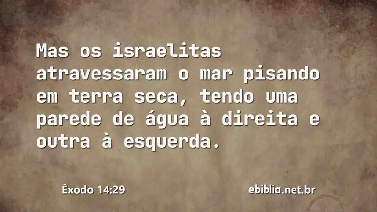 Êxodo 14:29