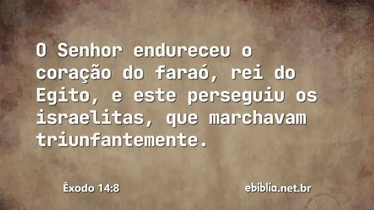 Êxodo 14:8