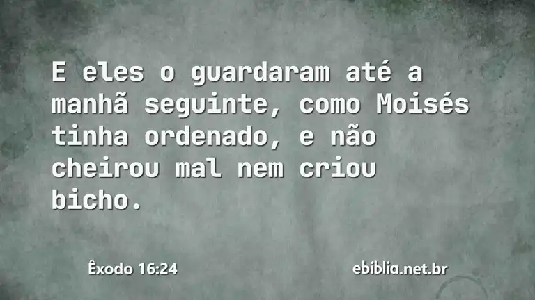 Êxodo 16:24