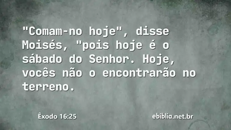 Êxodo 16:25