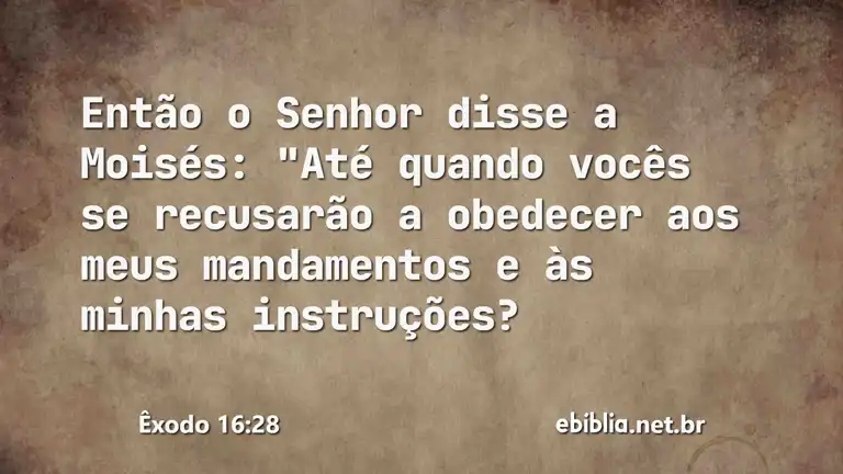 Êxodo 16:28