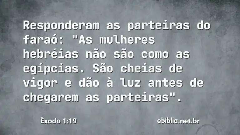 Êxodo 1:19