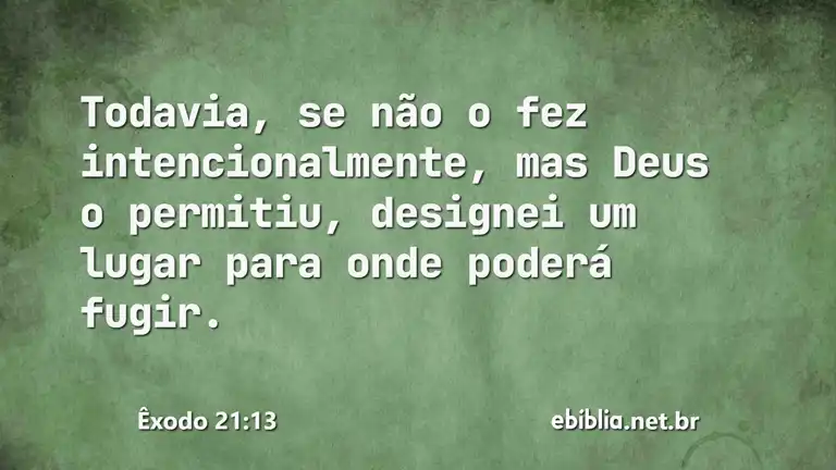 Êxodo 21:13