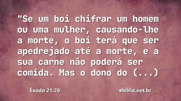 Êxodo 21:28