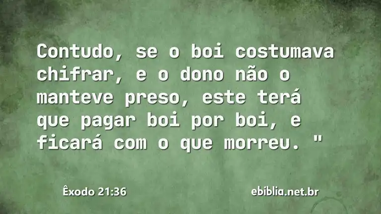 Êxodo 21:36