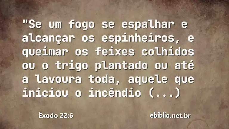 Êxodo 22:6