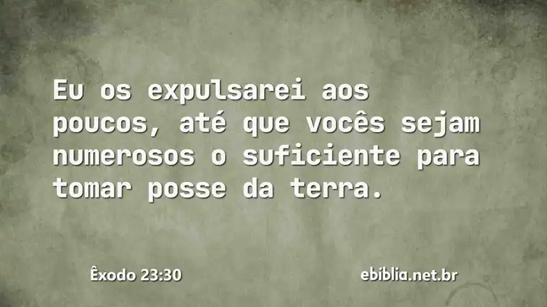 Êxodo 23:30