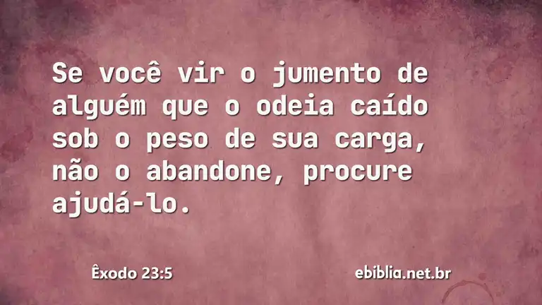 Êxodo 23:5