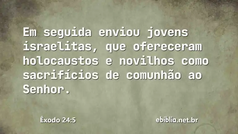 Êxodo 24:5