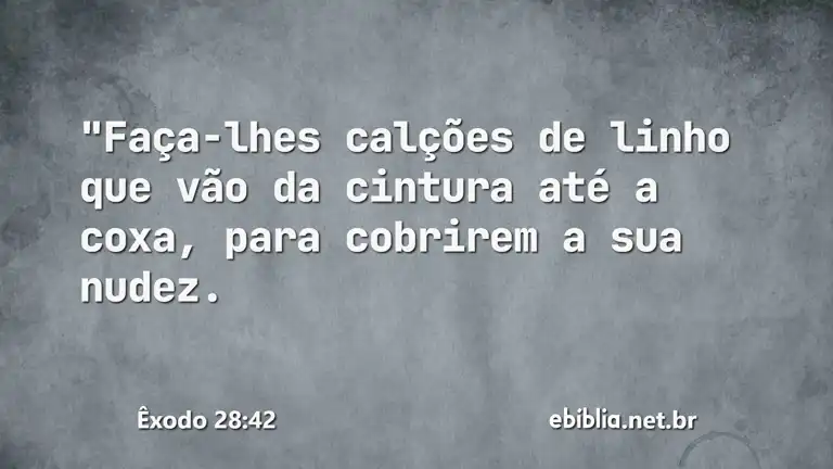 Êxodo 28:42