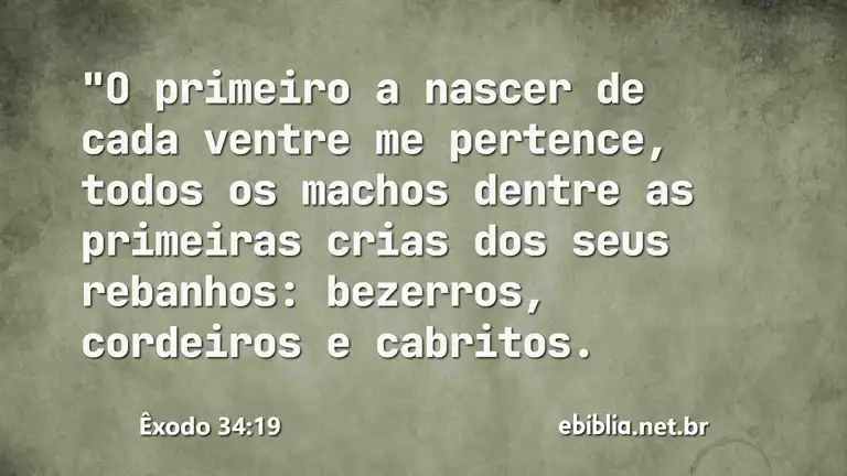 Êxodo 34:19