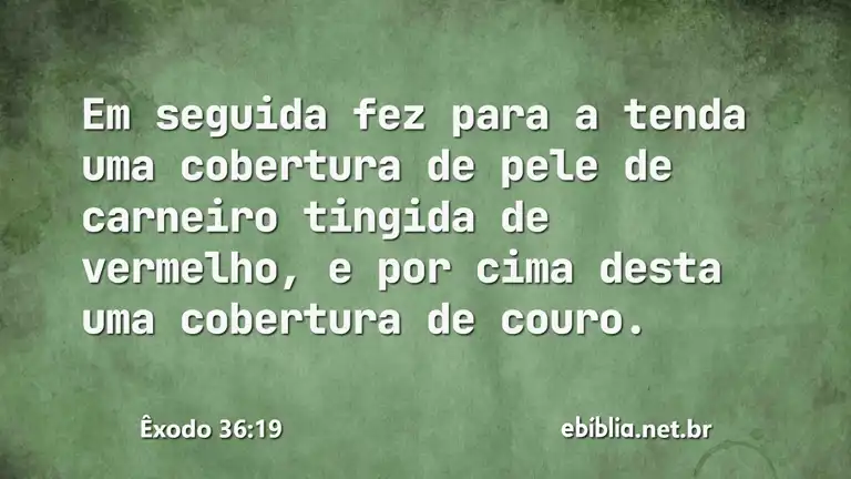 Êxodo 36:19