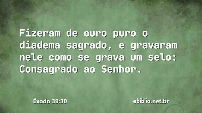 Êxodo 39:30