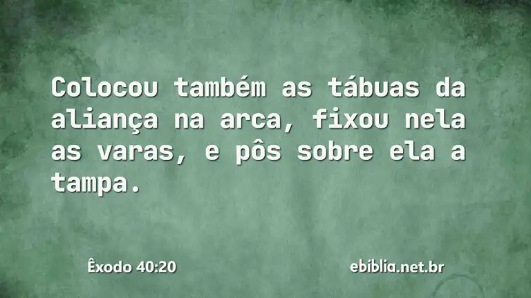 Êxodo 40:20