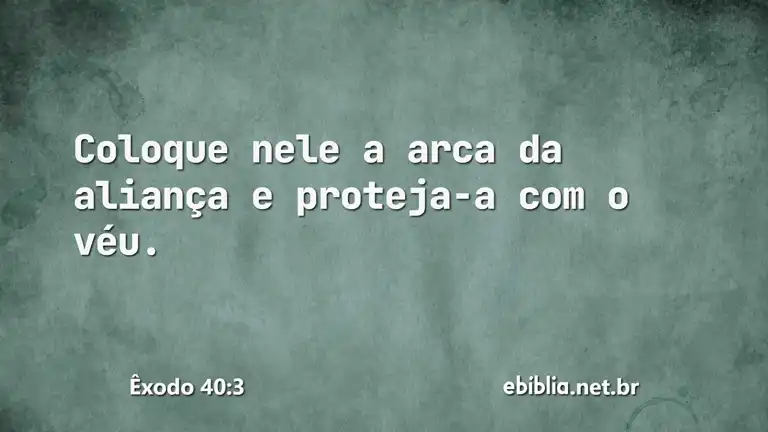 Êxodo 40:3