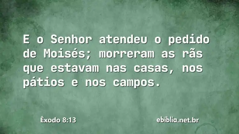 Êxodo 8:13