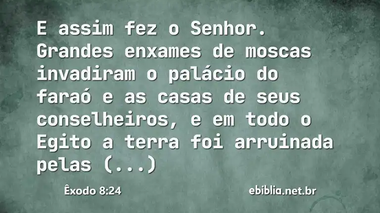 Êxodo 8:24